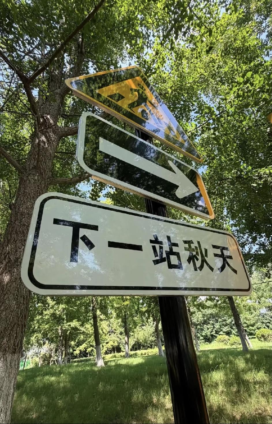 七号都29岁了，现在居然快熬成主力了。虽然我从来没有看到他拿过冠军。
中国人才济