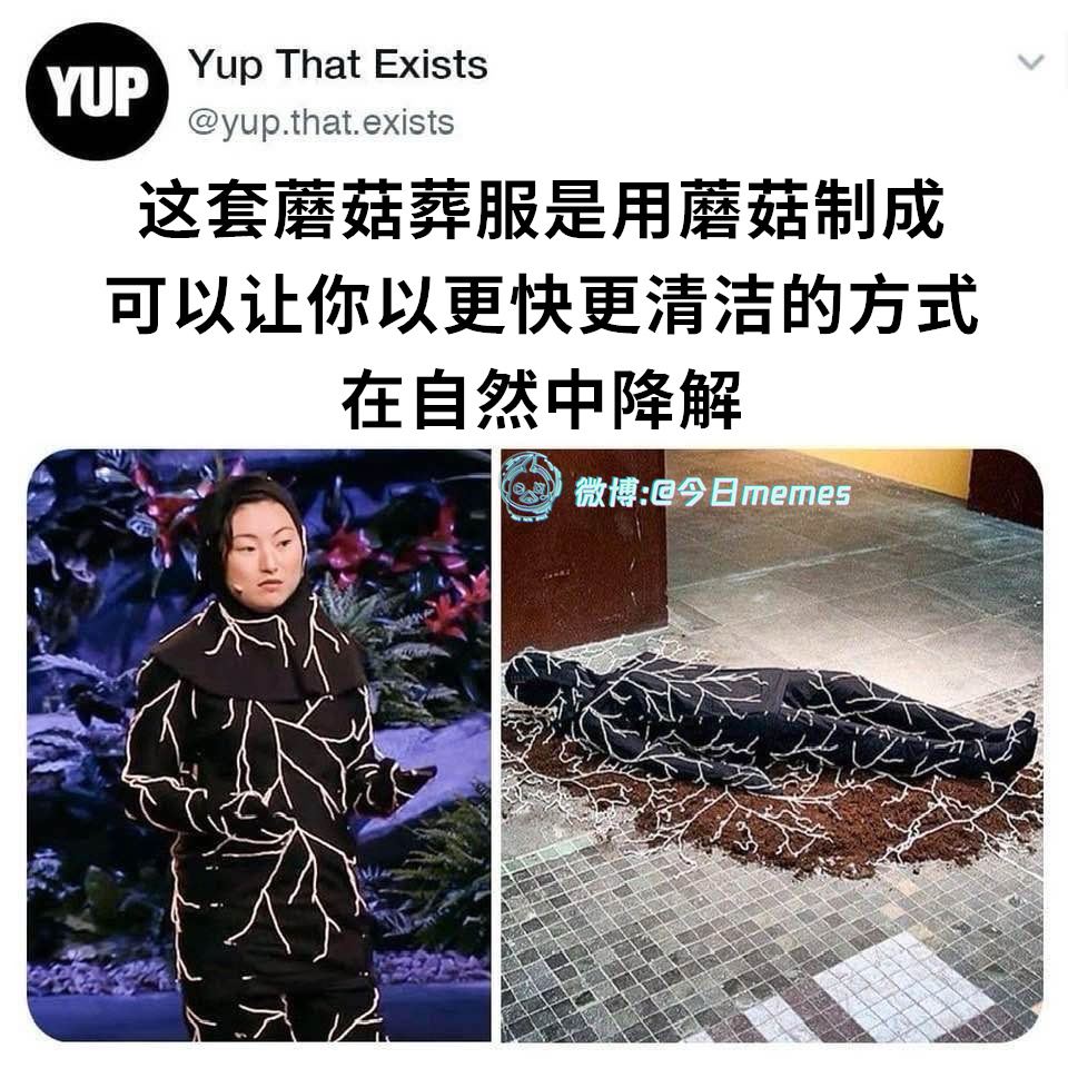 可以烧 