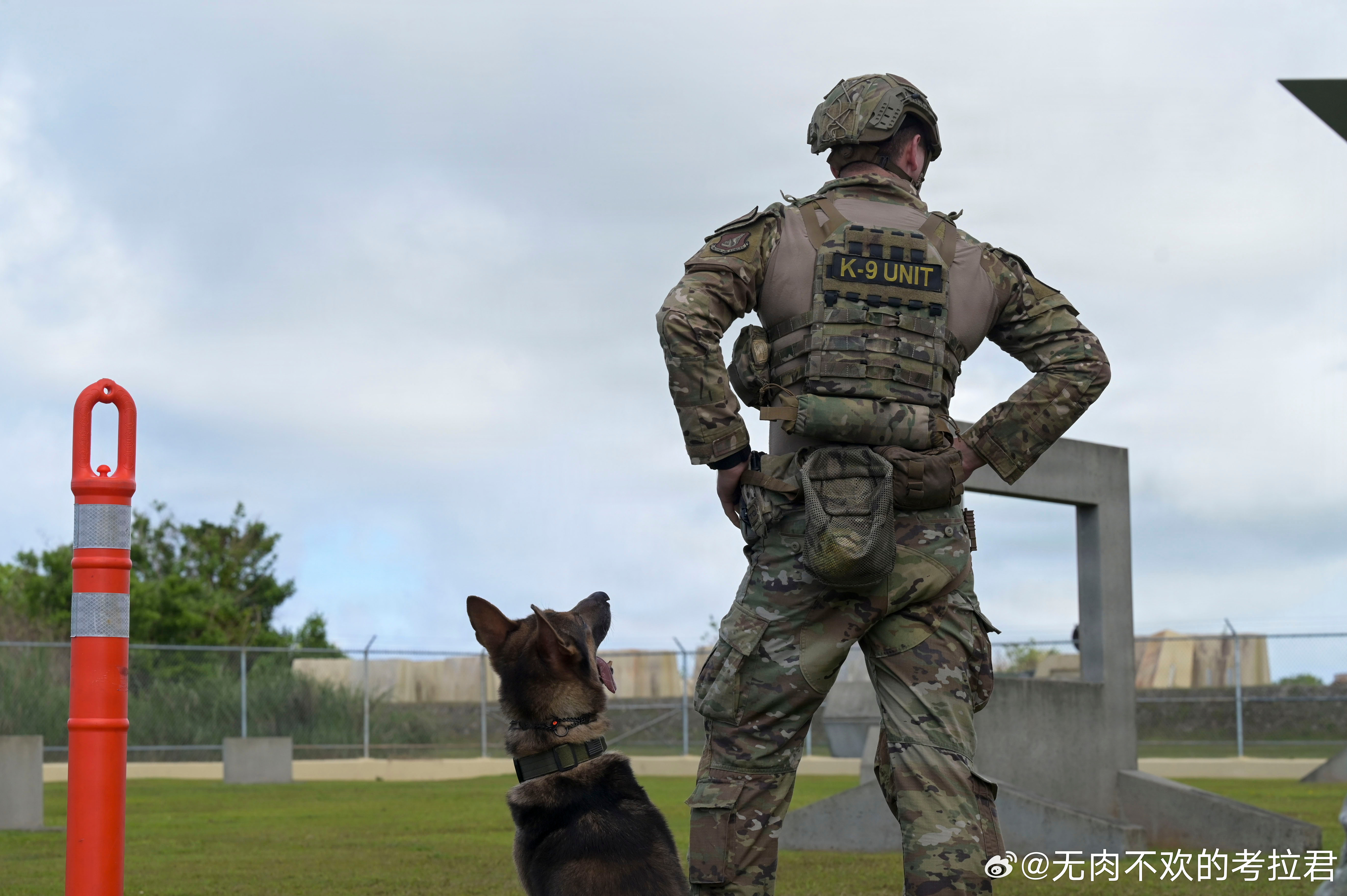 PACAF Military Working Dog teams wrap up