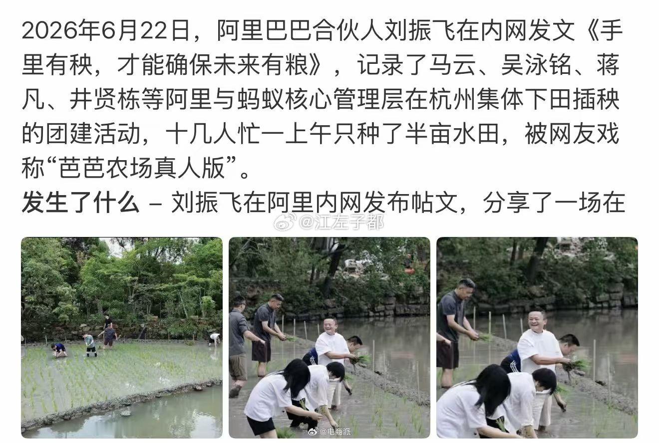 马云插秧