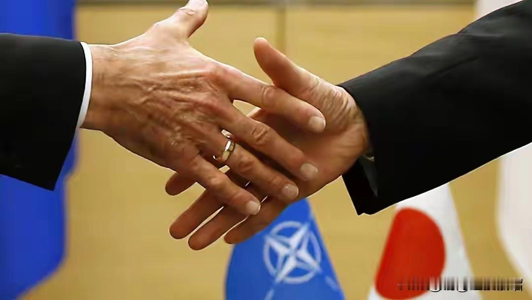 彻底不装了，北约30国集体访问日本。日本前首相曾经说过，“今天的乌克兰，或许就是