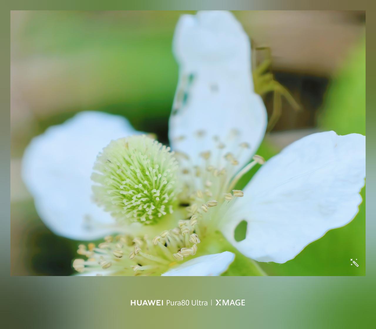 苹果和华为
还记得有人说过，华为靠技术，苹果靠美国。这话一点都没说错的，有人说华