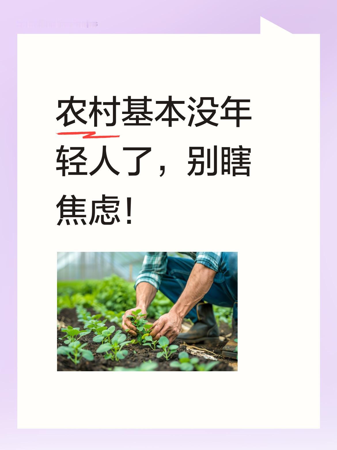 现在农村，基本上已经看不到多少年轻人的身影了。没必要为此瞎焦虑个啥呢，情况就是这