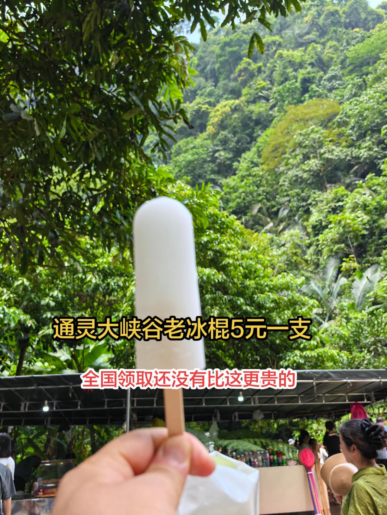 应该是全国最贵老冰棍，五元一支！