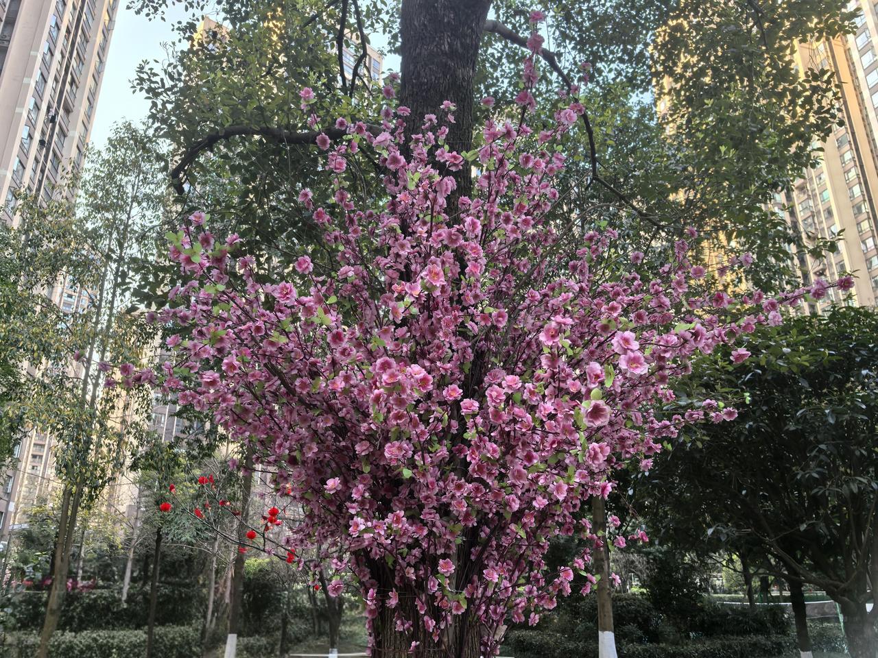 人活一辈子，到底啥才真正属于自己？那些钱、房、名利，生不带来死不带去，都是过眼云