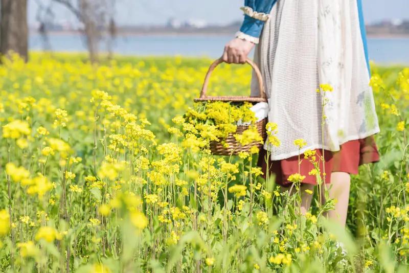 馨漪婉风所作的《七绝一篮春意》，那画面感简直绝了！“水抱繁英缀碧空”，碧水轻绕繁