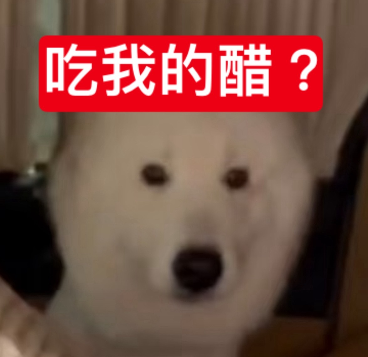 远在重庆的一辆白色大卡车莫名被卷入一场吃醋风波 