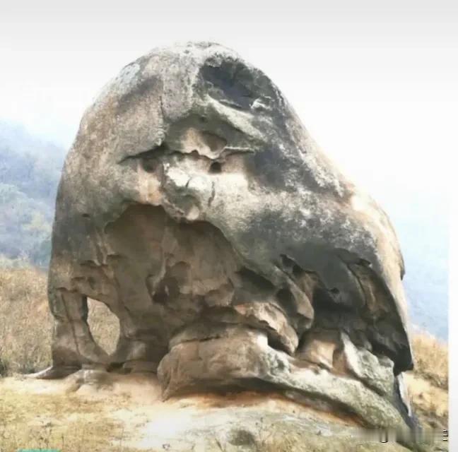 唐老师好呀！想请教一下，在考古领域中，对于地面上的那些石头文物，究竟是通过什么方