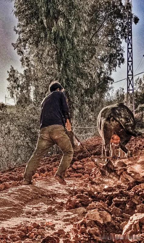 为啥越勤劳越贫穷？其实“勤劳致富”这说法没错，但很多人对“勤劳”理解太单一。
像