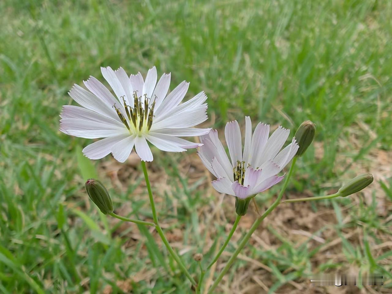 【小对联】
上：……？
下：点睛。