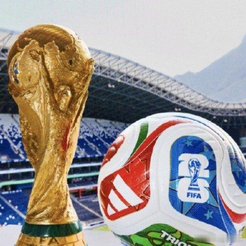 央视获得2026世界杯版权香港：肯定比我便宜