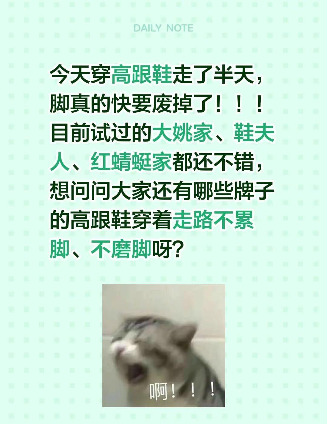今天穿高跟鞋走了半天，脚真的快要废掉了！！！目前试过的大姚家、鞋夫人、红蜻蜓家都