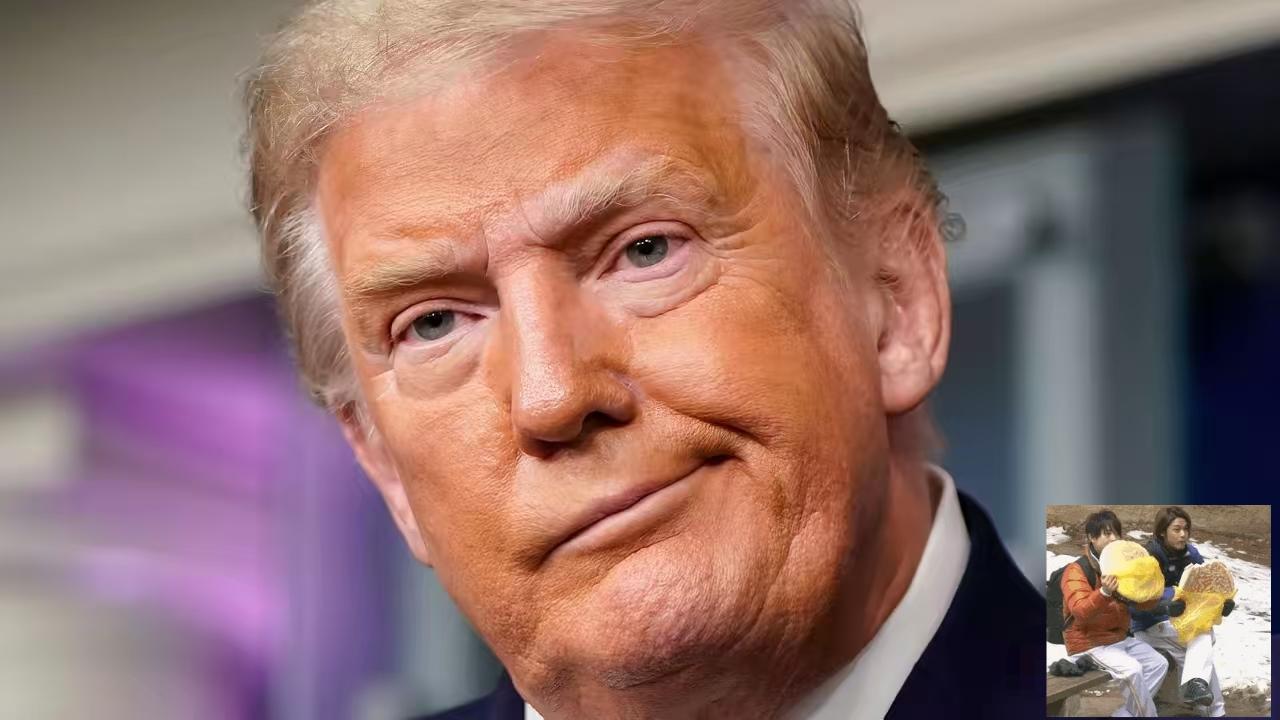 一觉醒来，特朗普又开始威胁了：“谁向伊朗提供军火，美国就对谁加征50%关税，即刻