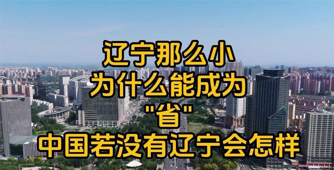 沈阳铁西那些老厂子，当年随便拎出一个都是全国第一。水泵厂、变压器厂、机床厂、沈飞