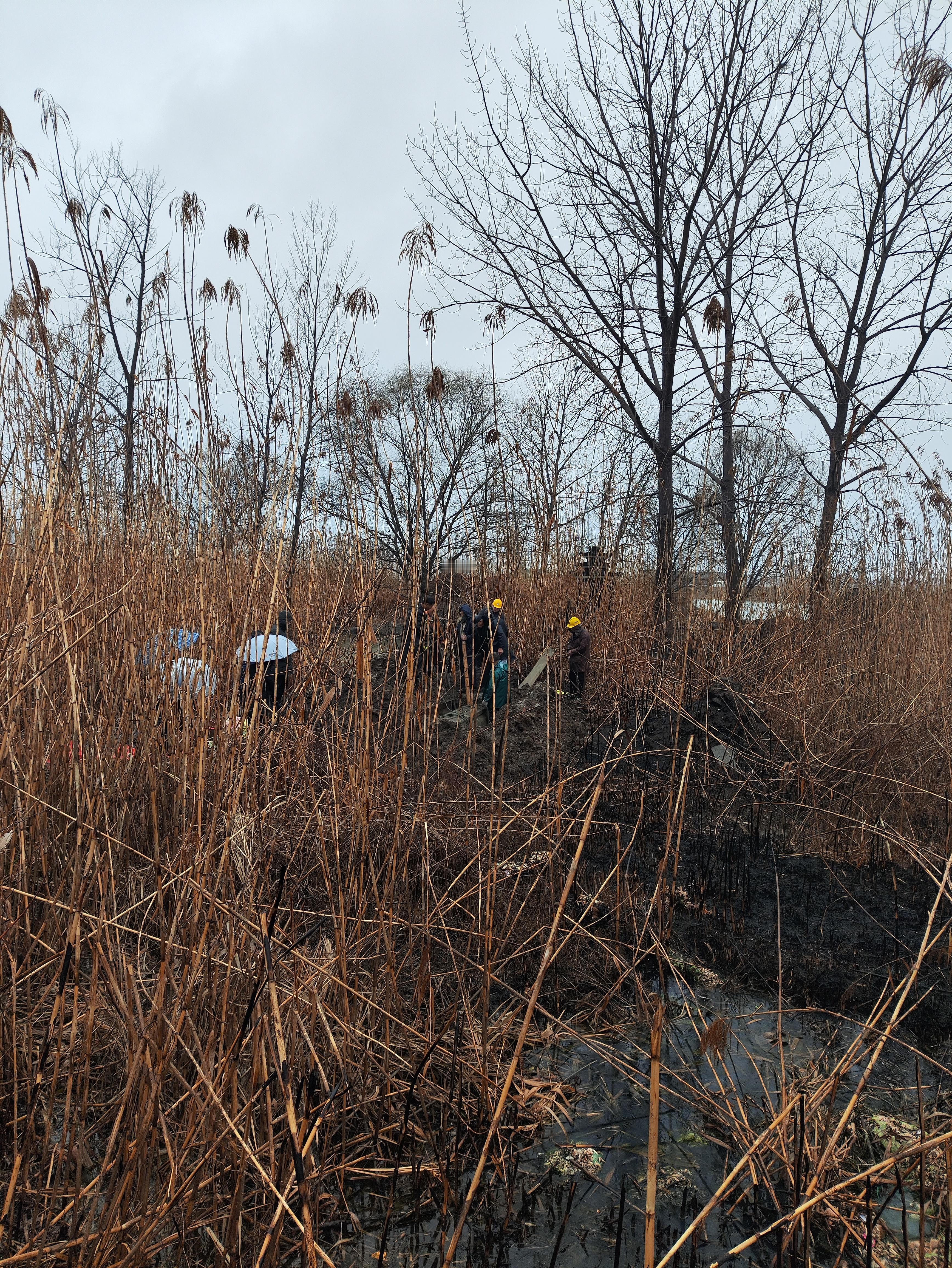 算是最后一程吧，桀骜一生，痛快结束，潦草收场所以，当下太重要了，饿了就先想并干饭