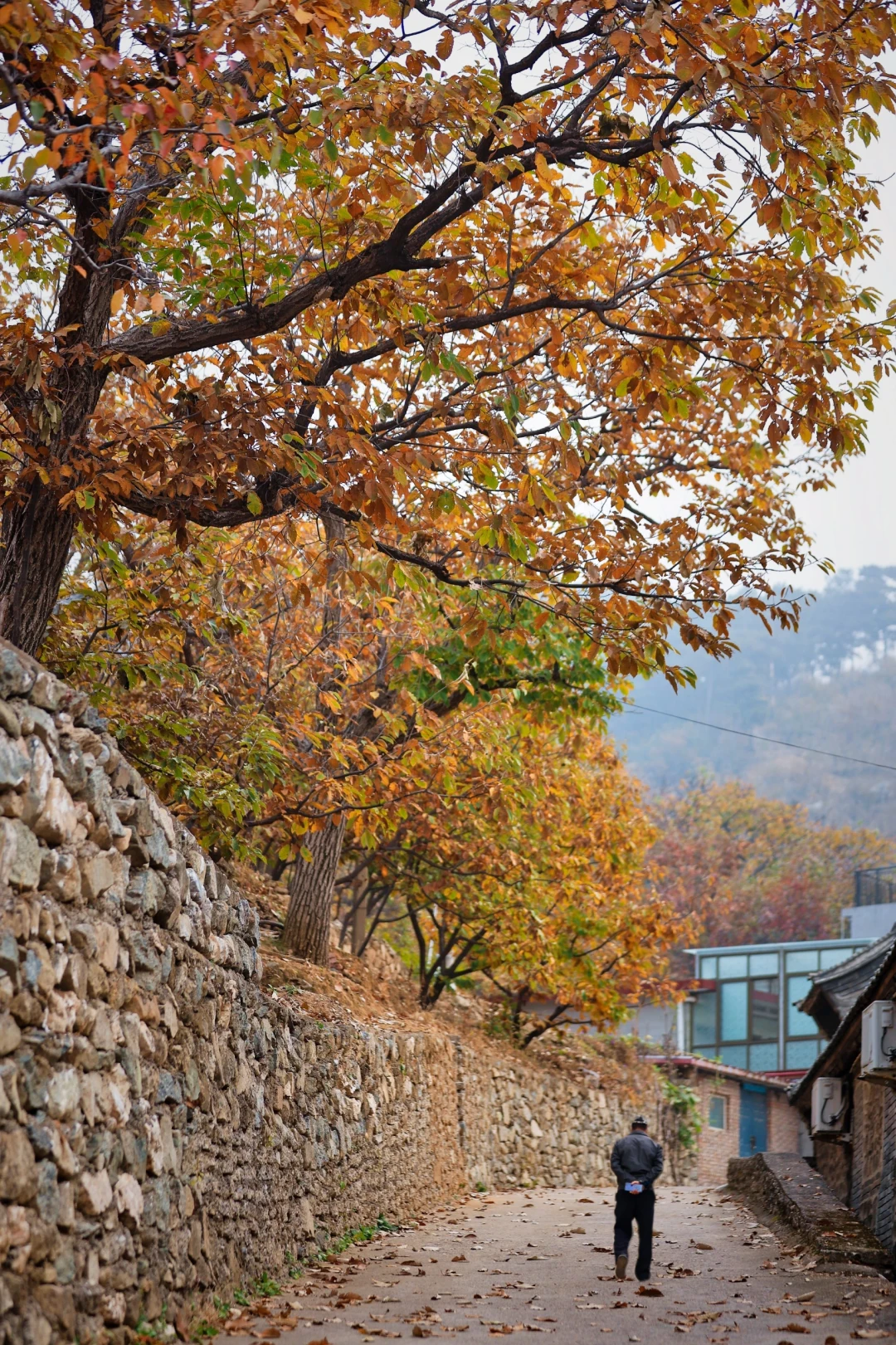 一篇攻略把北沟村赏秋🍂徒步路线说明白