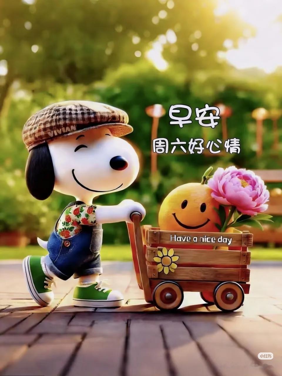 🌺🌺早安吉祥🌺🌺
       新的一天又开始了，早安我的朋友！花是盛开