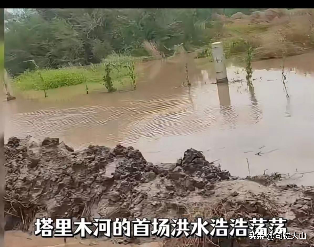 莫老仙最气愤的，不是超过半的国土和国民缺水，不是超过50度的高温以及缺电，而是中