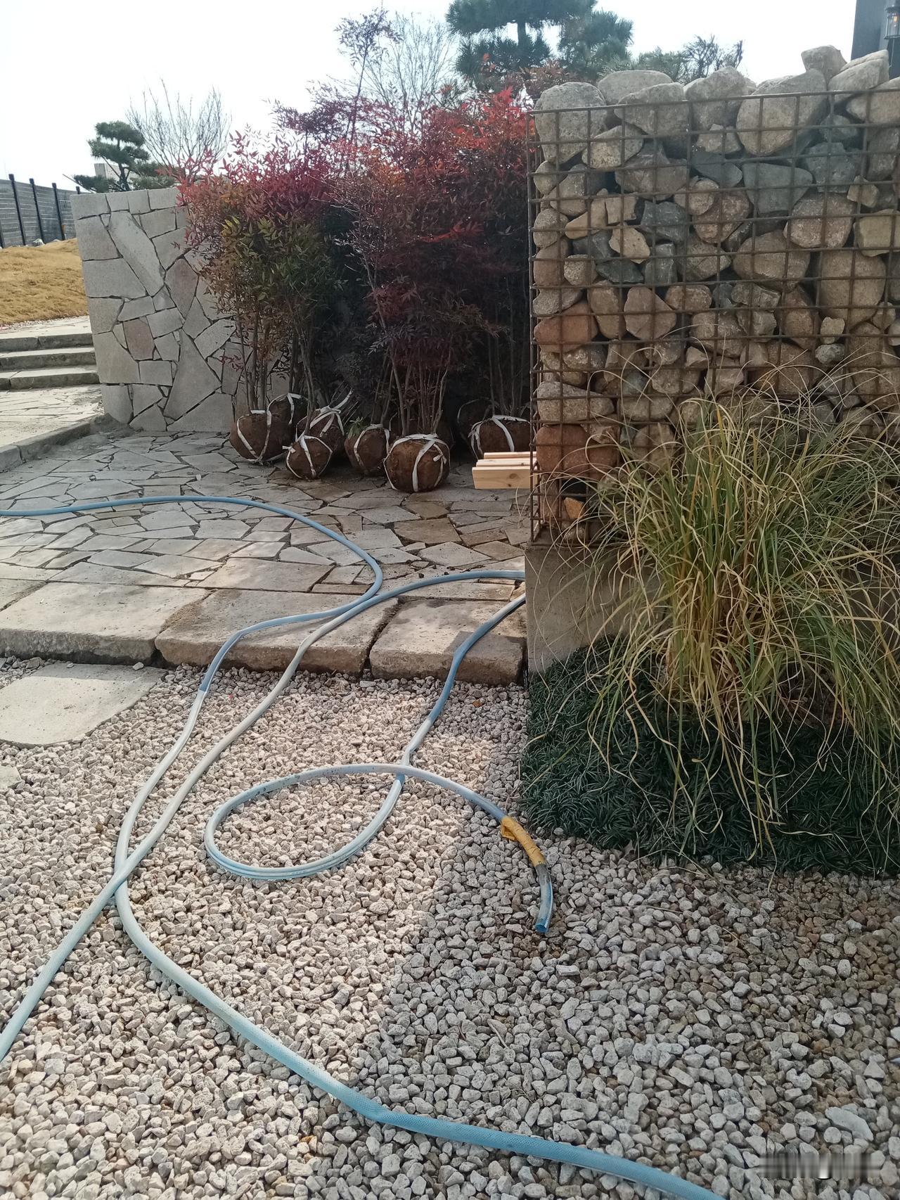 庭院绿植与石墙的完美结合，自然与人工的和谐共生。