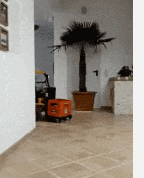 18岁去应聘叉车司机：驾龄15年！