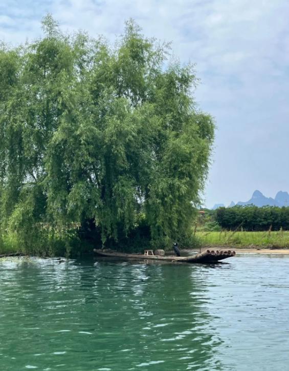 盟友翻脸？勋章风波背后的历史与现实
亲爱的朋友们大家好，我是海林小百科，今天我们