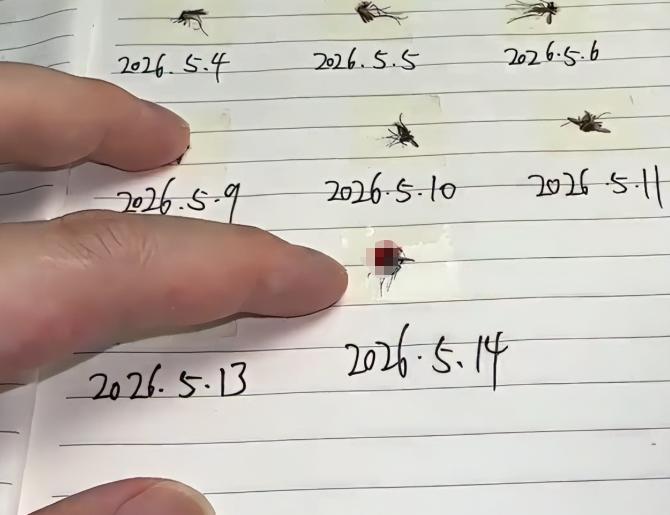 5月26日闽南网报道，湖南一男子打死蚊子后将蚊子尸体整齐收纳在册，还详细记下的“