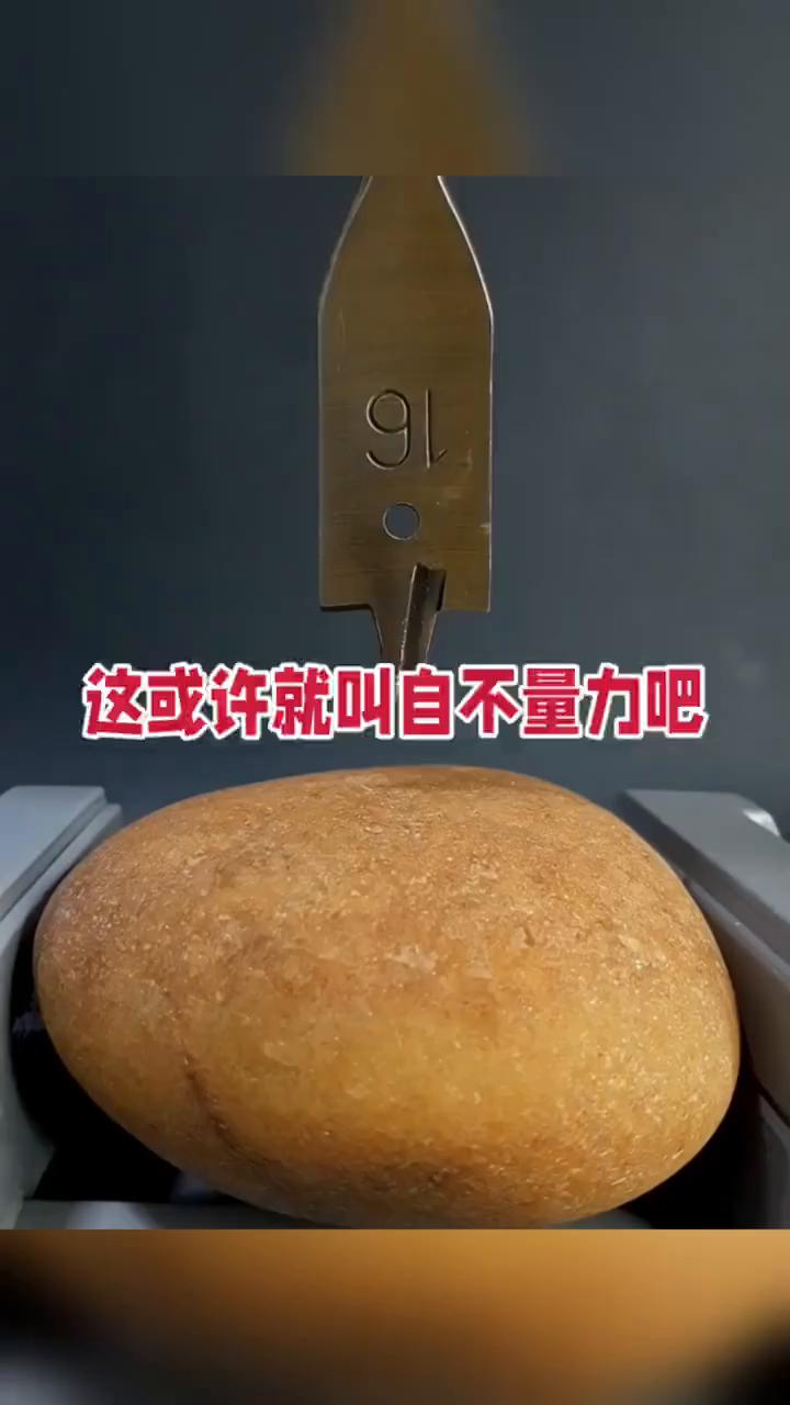 这或许就叫自不量力吧。