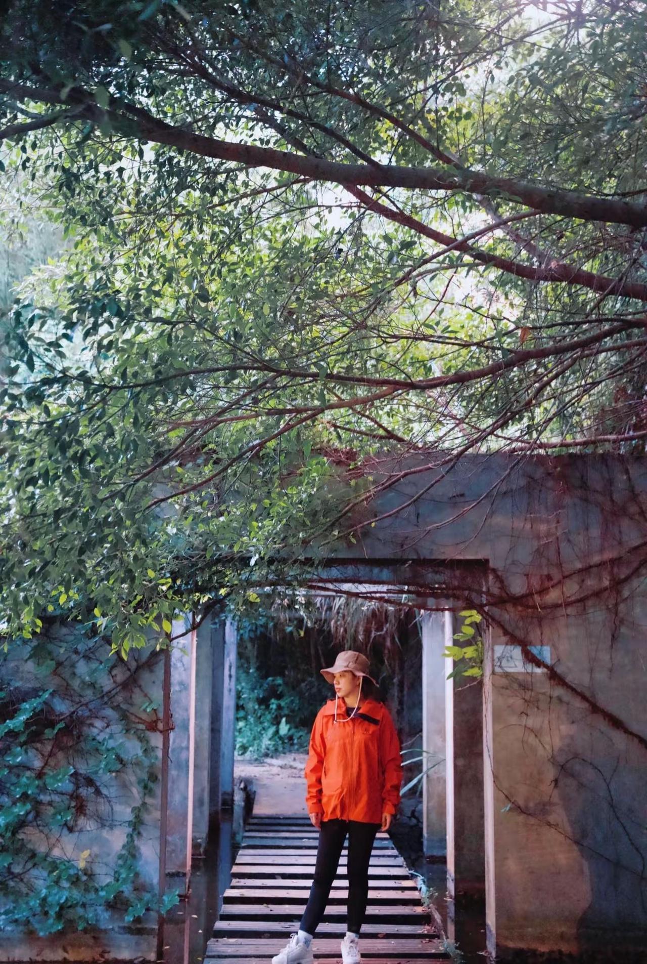 探秘燕晗山，邂逅深圳的静谧之美。深圳燕晗山郊野公园，宛如喧嚣都市中的宁静港湾。园