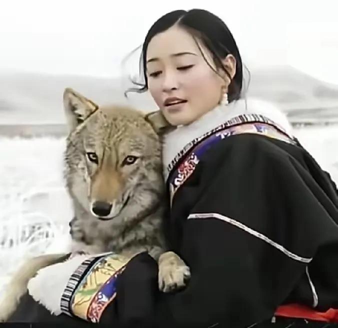 扎西的电话听得人揪心，小屋门上全是格林的爪印，深夜还能听见它在门后呜咽，饿到只能