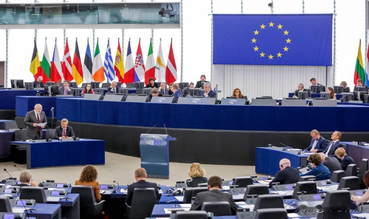 欧洲11国联合声明：将为乌克兰组建"欧洲主导的"多国部队

12月15日，德法英