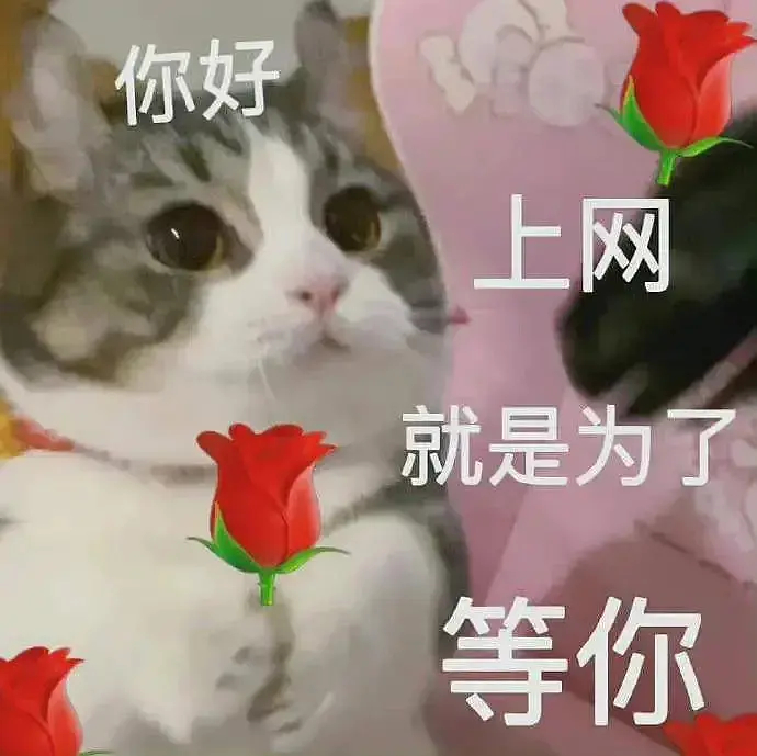 新造型莫！ 