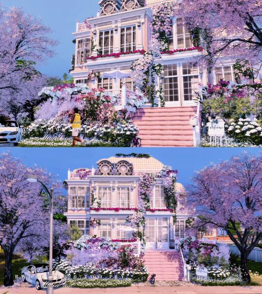 SIMS4 💐 呢喃的玫瑰 MUTED ROSE | 30x20
