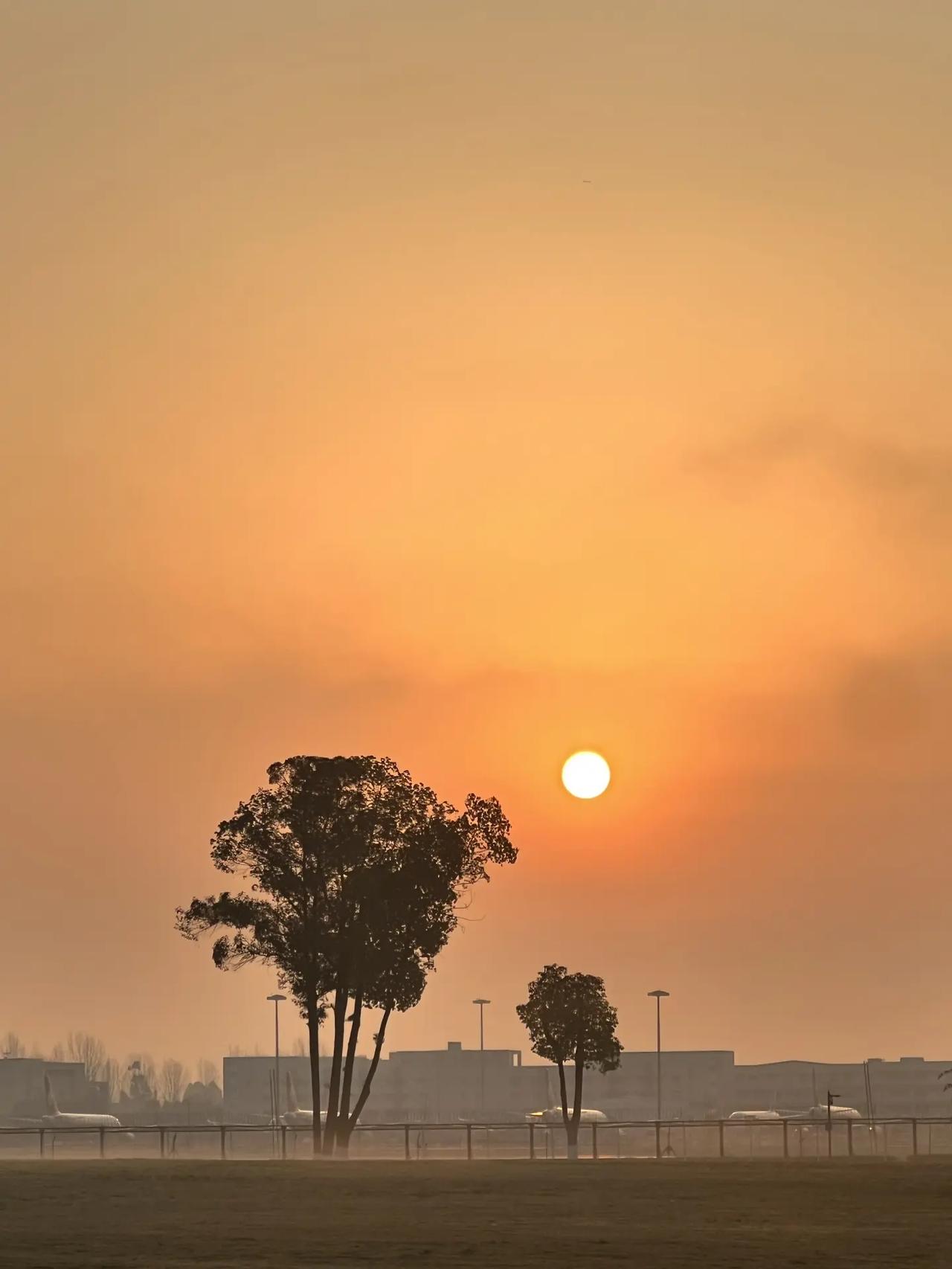 随手拍电影感照片 取景器里的世界 随拍自愈风 这是土象星座拍到的天空 手写文案