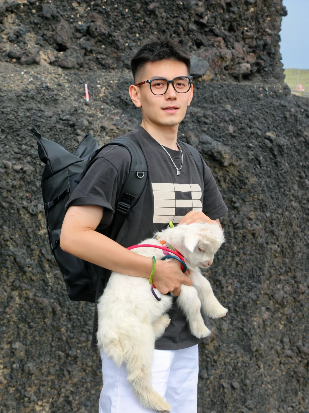 小羊乖还是你乖？