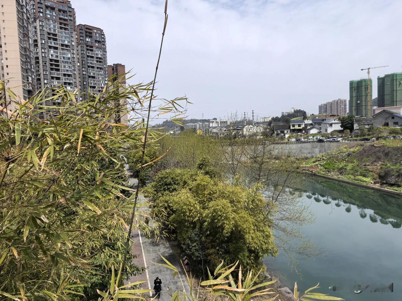 采桑子.重读.《采桑子.反愁（其二）（改胡乔木词）》有感
（2025年3月19日