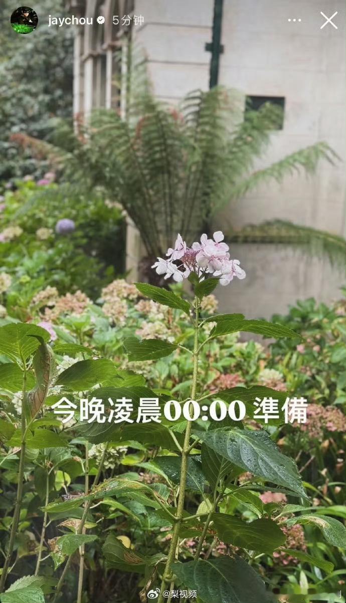 周杰伦说今晚0点准备看来新专辑要来了🤩等好久了，根据之前消息，自3月18日起，