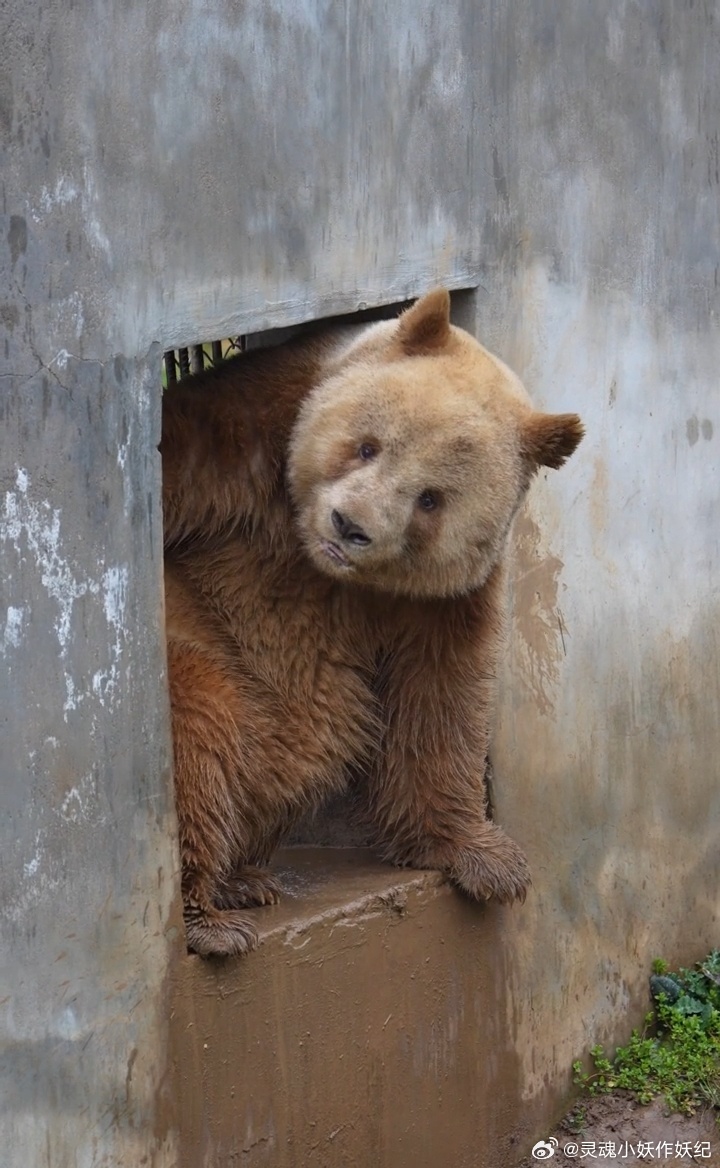 七仔：是谁在背后又蛐蛐我？？？ 