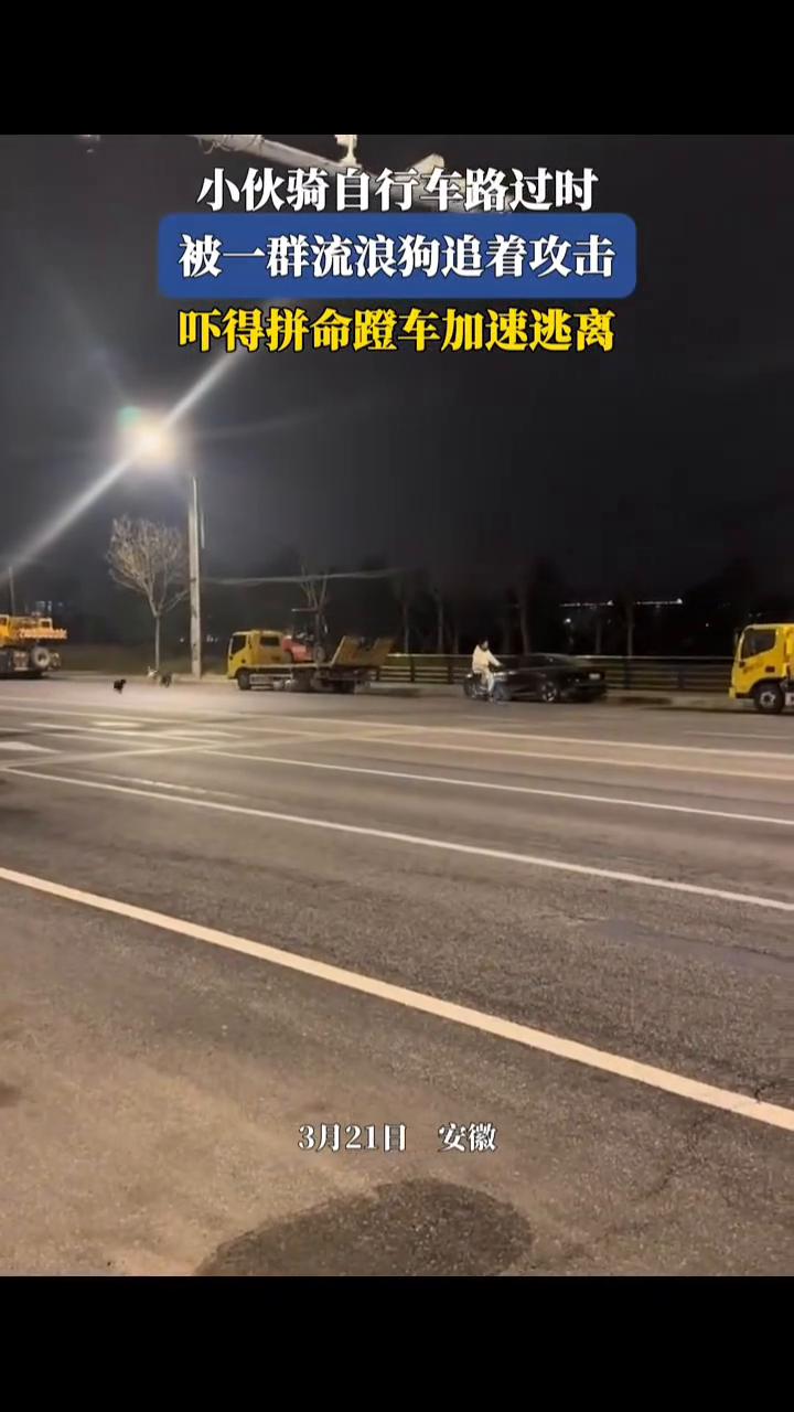 小伙骑自行车路过时被一群流浪狗追着攻击，吓得拼命蹬车加速逃离。
3月21日安徽。