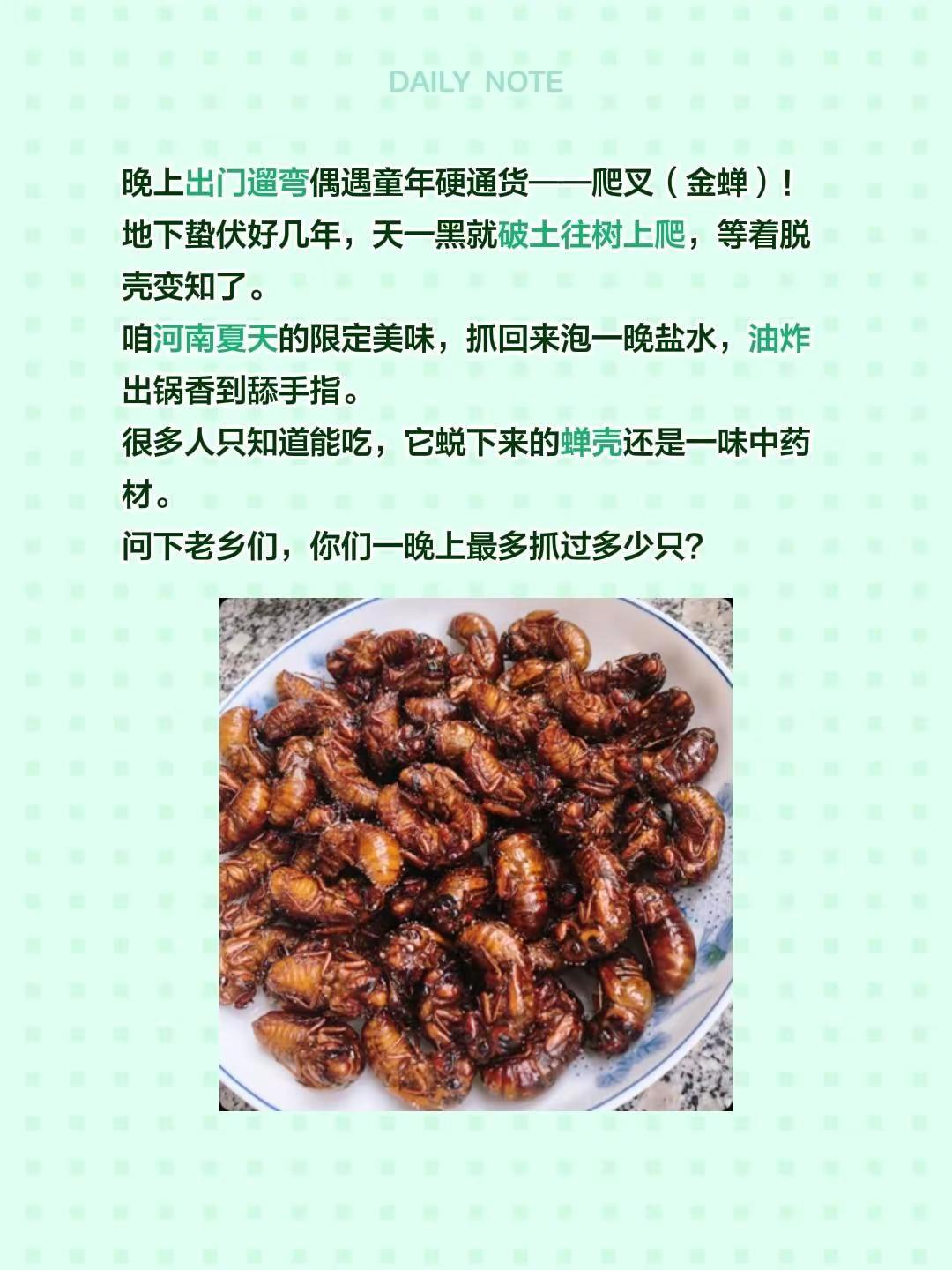 你们哪里管着叫什么。晚上出门遛弯偶遇童年硬通货——爬叉（金蝉）！地下蛰伏好几年，