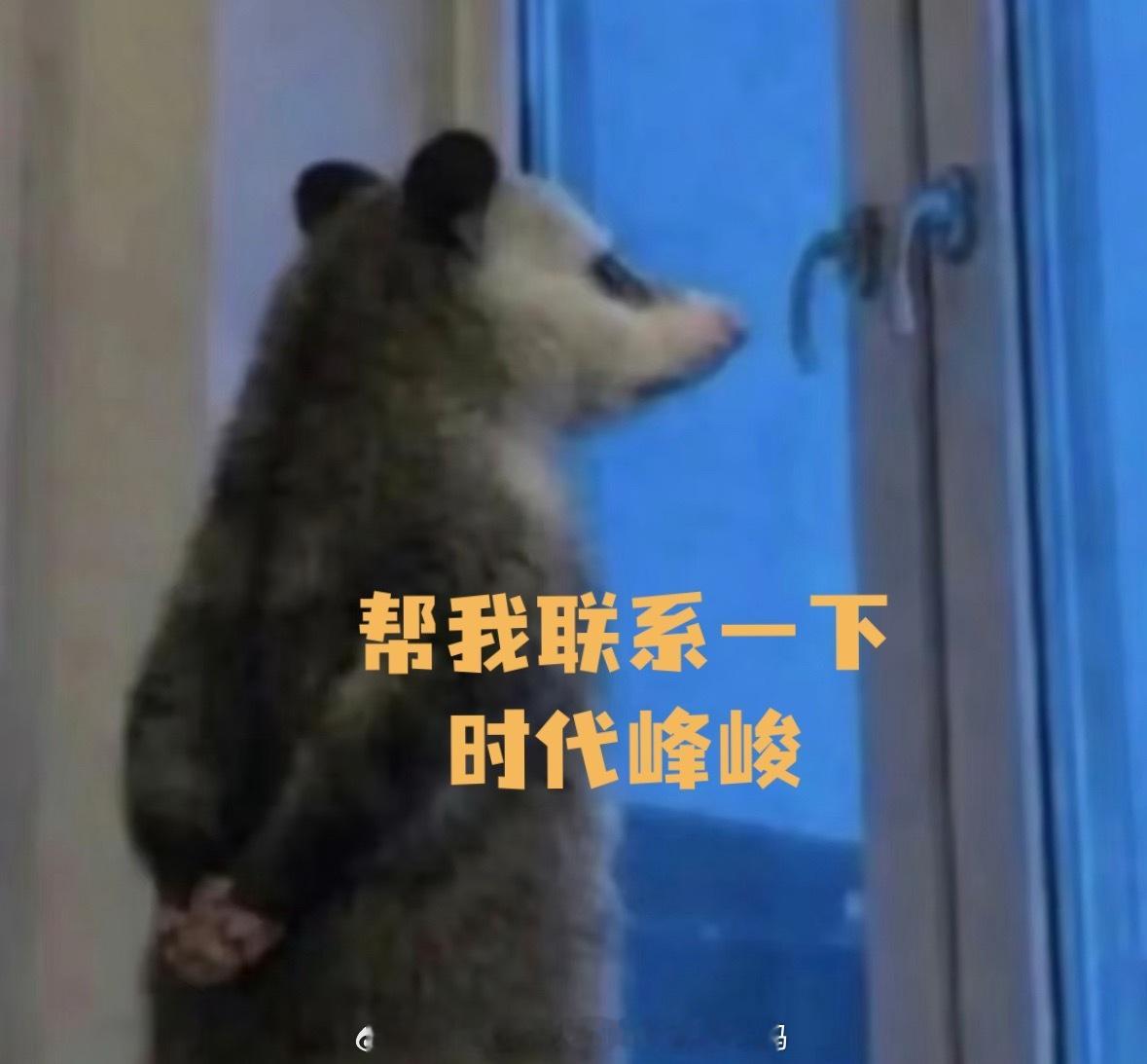 北国好风光，尽在黑龙江大美龙江欢迎时代少年团来开演唱会 