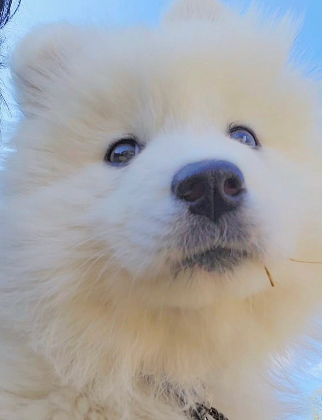 好漂亮的宝宝耶 