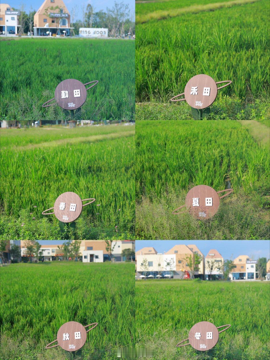 十个勤天[超话]后陡门找大田cr:濯月‖十个勤天‖种地吧‖ ​​​