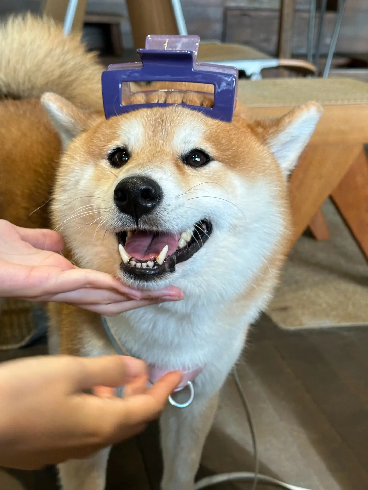 我已经全妆准备好啦！快找我出来玩吧！