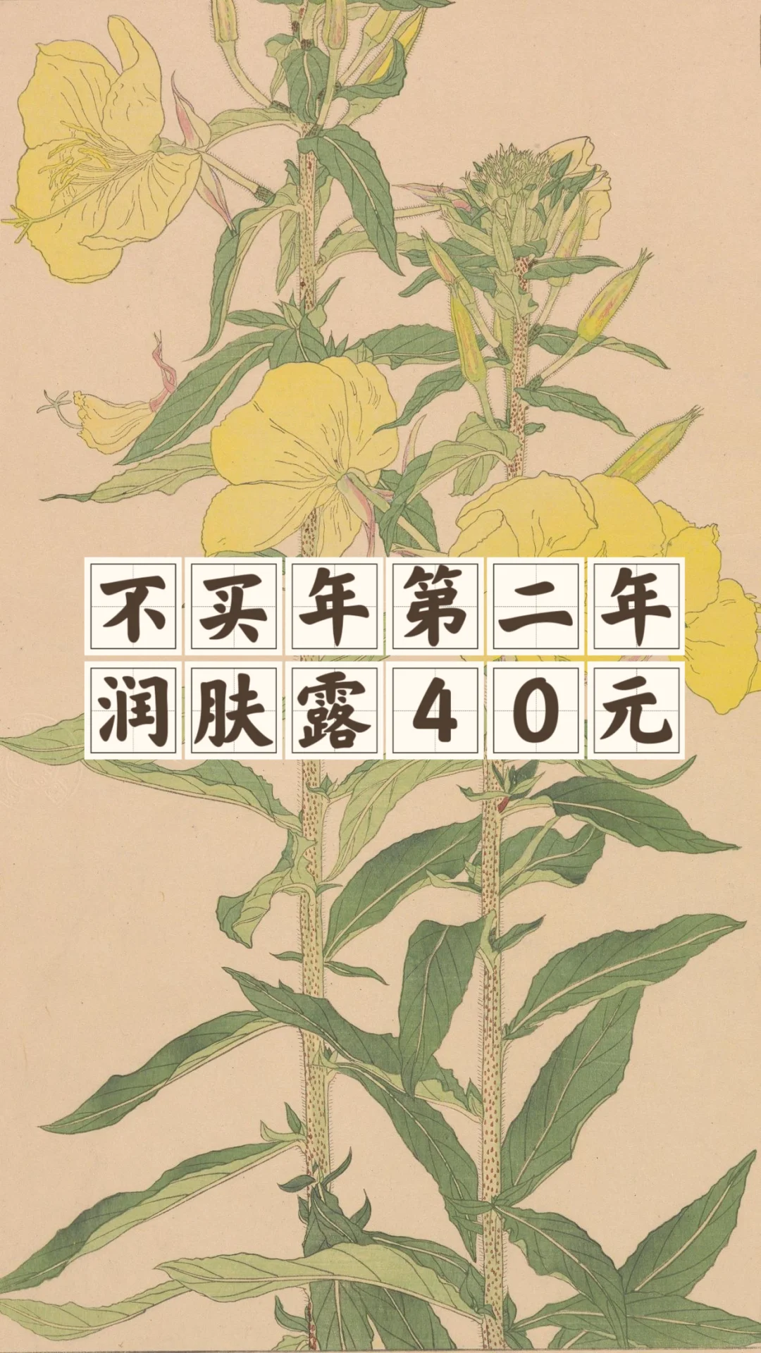 不买年第二年：全年总消费10875.52元