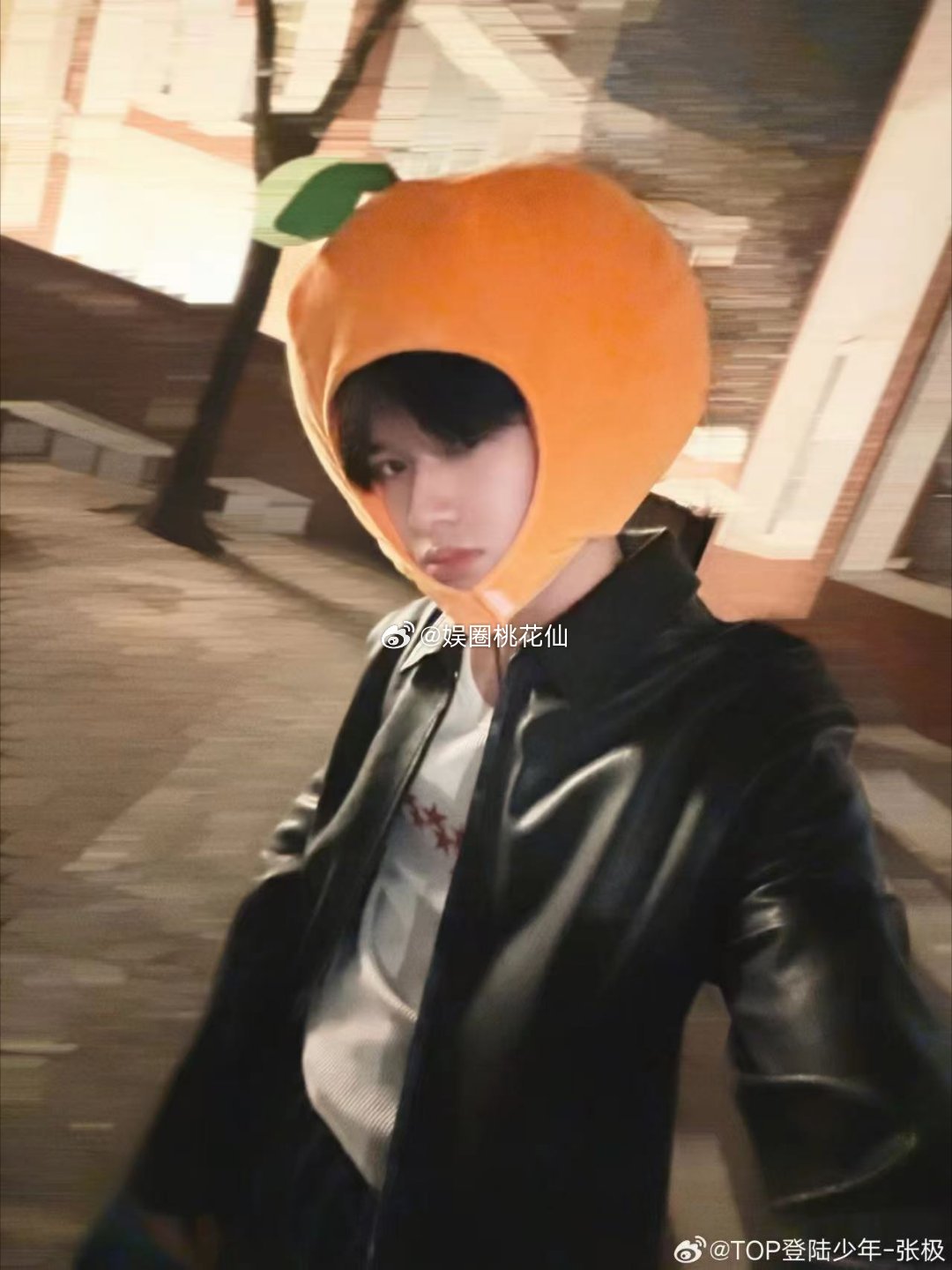 张极橘子头套张极戴橘子头套也太绝了吧！圆滚滚的小橘子套在头上，软萌到想rua，可