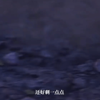 小黑龙石矶娘娘我有点嗑你俩了 看一次嗑一次！小黑龙碎了不慌不忙捡碎片，石矶娘娘碎