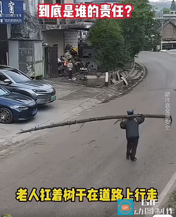 老人扛着树干马路上行走，

树干戳入车窗“遭一闷根”

到底是谁的责任？

我猜
