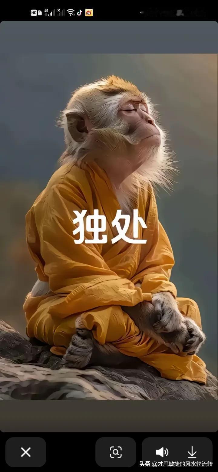 在山东聊城看到这样的新闻，心中五味杂陈。一个家庭，本应是温暖的港湾，却成为了悲剧