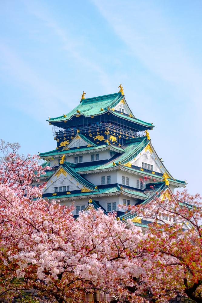 吉祥航空，夏天狂送免票！点击详情戳【评论区】链接👀暑期（5.1 - 8.31）