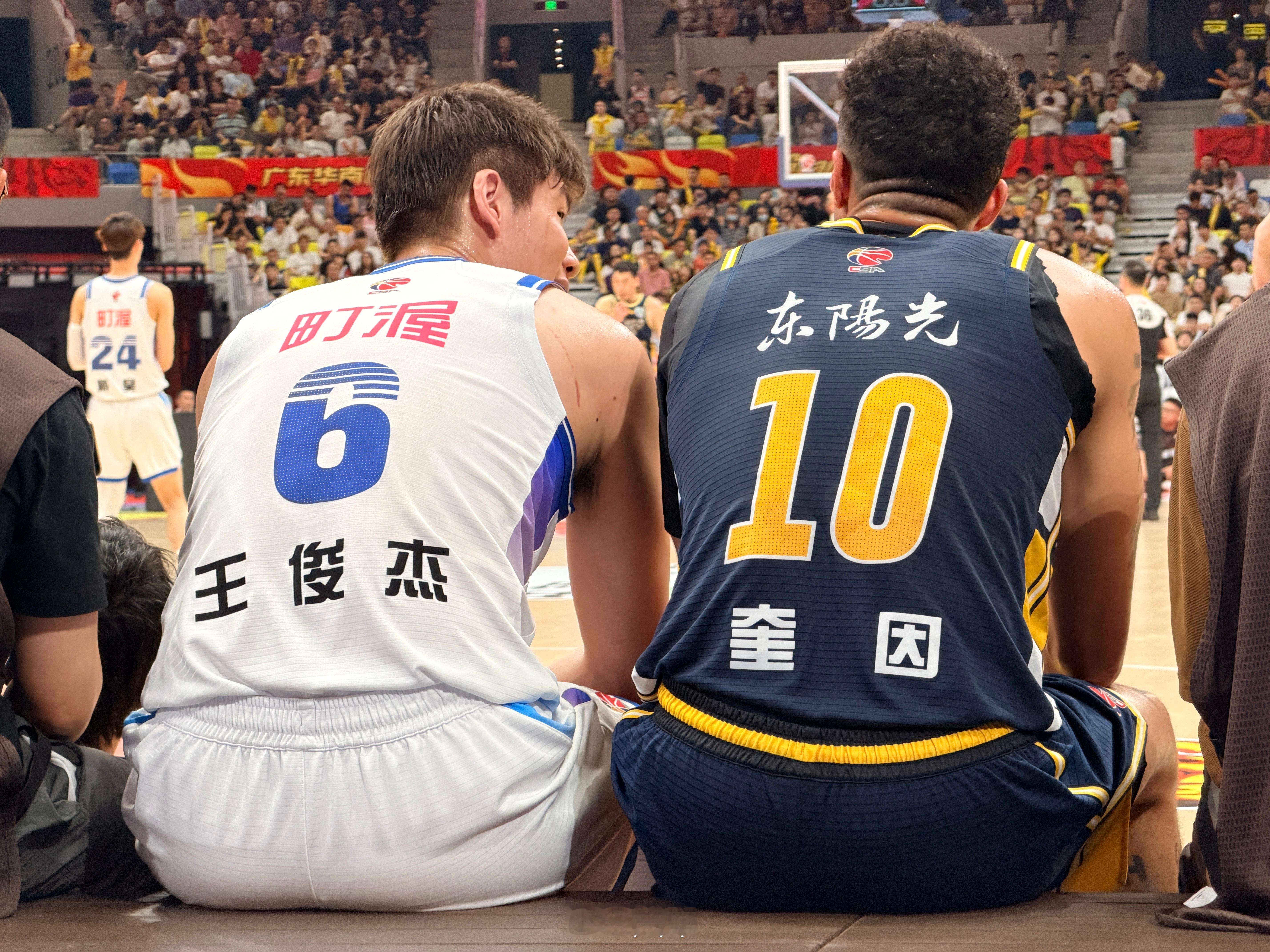 排排坐广东男篮vs宁波男篮 佛山·顺德德胜体育中心